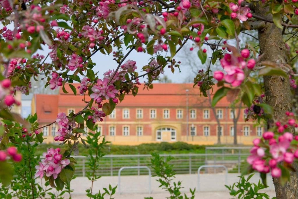 Hotel Vierseithof Luckenwalde Exterior photo